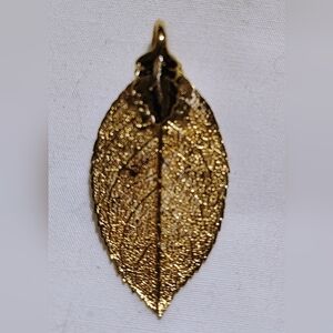 Image thumbnail 2